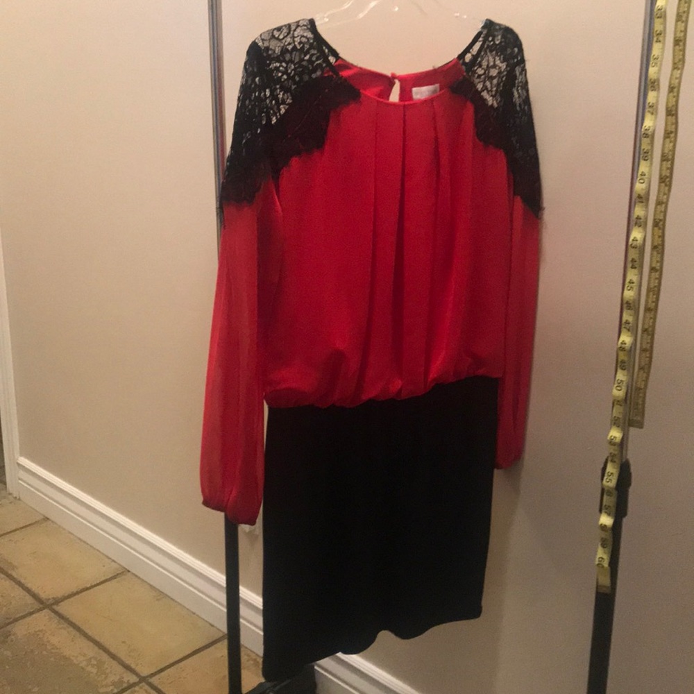 Bisou bisou dress 14